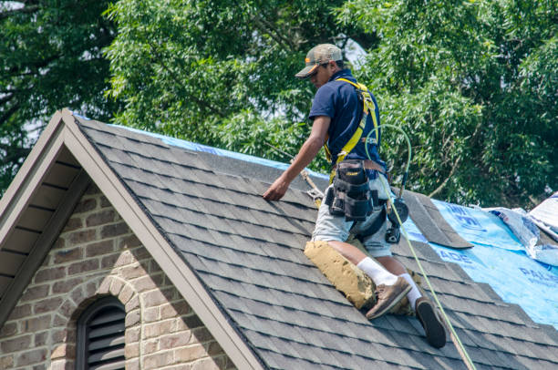 Quick and Trustworthy Emergency Roof Repair Services in Norfolk, NE